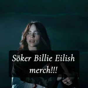 Söker Billie Eilish merch!! - Kan vara nästan vad som helst FÖRUTOM racer merch från H&M :)