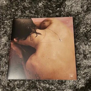 Harry Styles Lp skiva - Säljer ett vinylalbum med Harry Styles! Albumet heter ”Harry Styles” och innehåller alla 10 låtar. Skivan är i superbra skicka och använda fåtal gånger. Finns med en bok med fakta om låtar och bilder på Harry Styles!