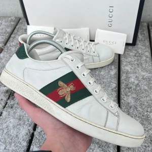 Gucci ace skor  - Tja! Säljer nu dessa sjukt feta gucci ace skor! Skick 8/10 sjuk bra. Nypris ligger runt 7000kr men säljs nu för endast 1799kr. Hör gärna av er vid minsta lilla fundering.