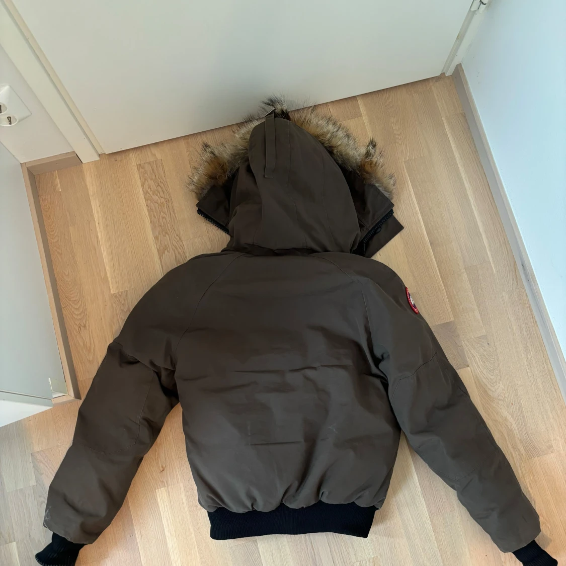 Canada goose chilliwack - 90