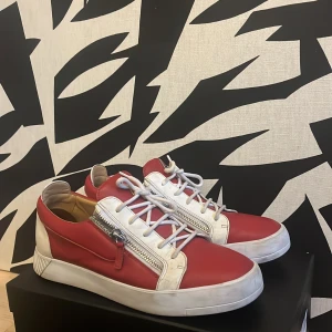 GIUSEPPE ZANOTTI skor - Sällsynsta och riktigt fina skor från Italien, nypris 6200kr. Använda men inga fel alls. Storlek 45. Byten kan vara intressant. Hör av dig vid fråga.