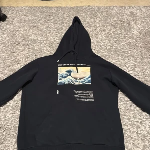 Apoh Hoodie - Säljer min tröja  då jag inte använder dem längre, tröjan är i fin skick finns inga skador eller fläckar