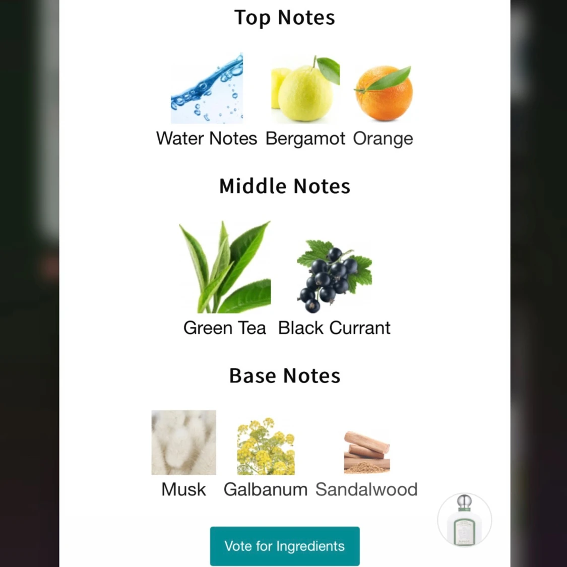 Derby Club House Blanche Eau de Parfum - 3