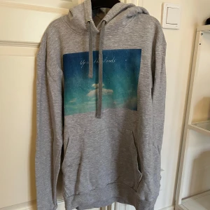 Grå hoodie från The Cool Elephant - Säljer en grå hoodie från The Cool Elephant med en tryck. Liten i storlek så passar storlek XS-M.