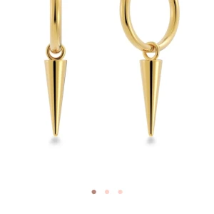 Guldörhängen med spetsig nit - Snygga guldörhängen från Edblad som knappt är andvända. Nypris 399! 