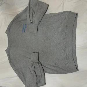 Tröja - En grå tröja som det står Wellness på, den är hel grå på baksidan