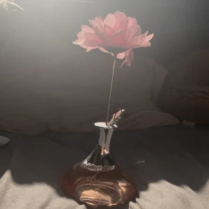 Parfym med blomma - Säljer en superfin parfym med en unik design! Flaskan är genomskinlig med en rosa ton och har en elegant silverfärgad hals. Det coolaste är att det sitter en rosa blomma på en lång stjälk som dekoration på toppen. Parfymen är 75 ml och doftar fantastiskt. Perfekt som present eller för att dofta gott! 🌸✨Står för frakten! Använt ett fåtal gånger!