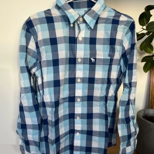 Rutig skjorta från Abercrombie & Fitch - Snygg rutig skjorta från Abercrombie & Fitch i blå och vit med klassisk krage och knappar. Skjortan har ett broderat märke på bröstet och är perfekt för en stilren look.
