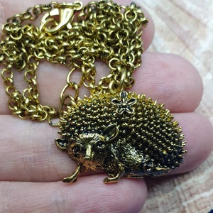 Halsband - Igelkotte  - Halsband antikguld med igelkotte, oanvänt. Mått på kedjan är: 50+7cm. ✨️Titta igenom alla mina upplagda och köp fler saker i bundle för att spara på frakten och få allt du köpt i ett och samma paket✨️