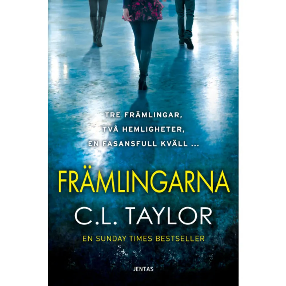 Ursula, Gareth och Alice har aldrig träffats tidigare.Ursula tror att hon har dödat sitt livs kärlek. Gareth har börjat få konstiga vykort. Och Alice har en stalker.Ingen av dem är van vid att lita på andra, men när de tre främlingarnas vägar oväntat korsas finns det bara en sak att göra: hålla ihop. Annars kommer någon av dem att dö. Tre främlingar, två hemligheter, en kväll med fruktansvärda konsekvenser. Den bästsäljande författaren är tillbaka med en ny fängslande roman som håller läsaren på sträckbänken ända fram till det överraskande slutet.