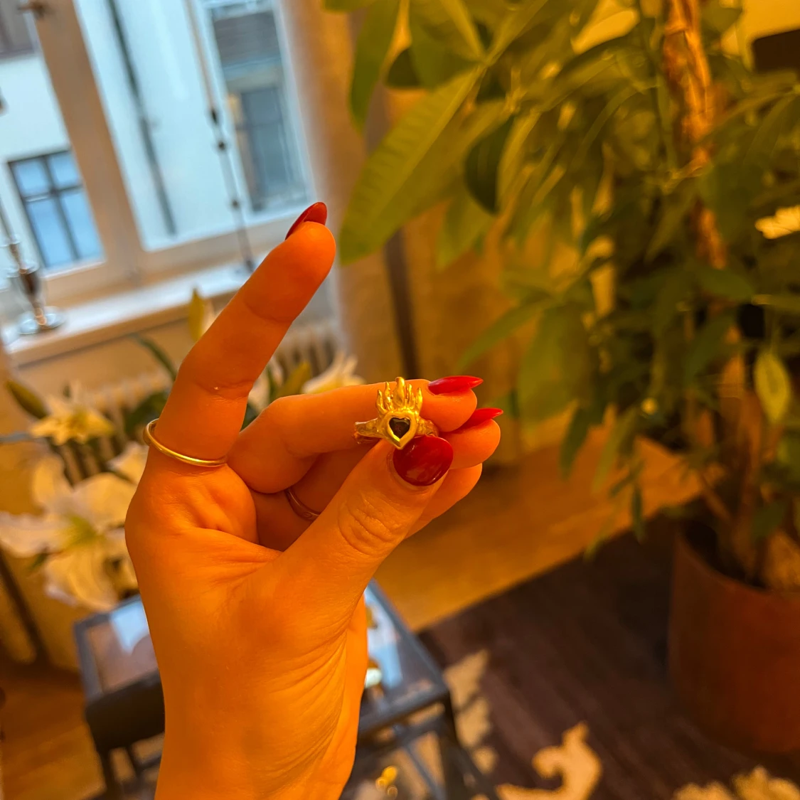 Maria Nilsdotter ring, fever