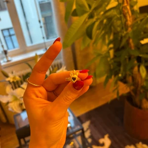 Maria Nilsdotter ring, fever - Maria Nilsdotter fever garment ring