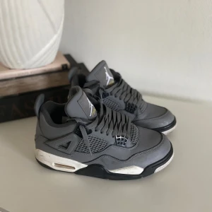Jordan 4 Retro Cool Grey  - Jordan 4 Retro Cool Grey Skor, Frågor besvaras i dm!