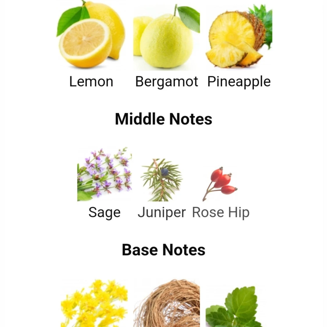 Polo 67 Samples - 93