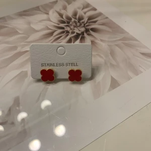 Oanvända öronhängen  -  oanvänd 