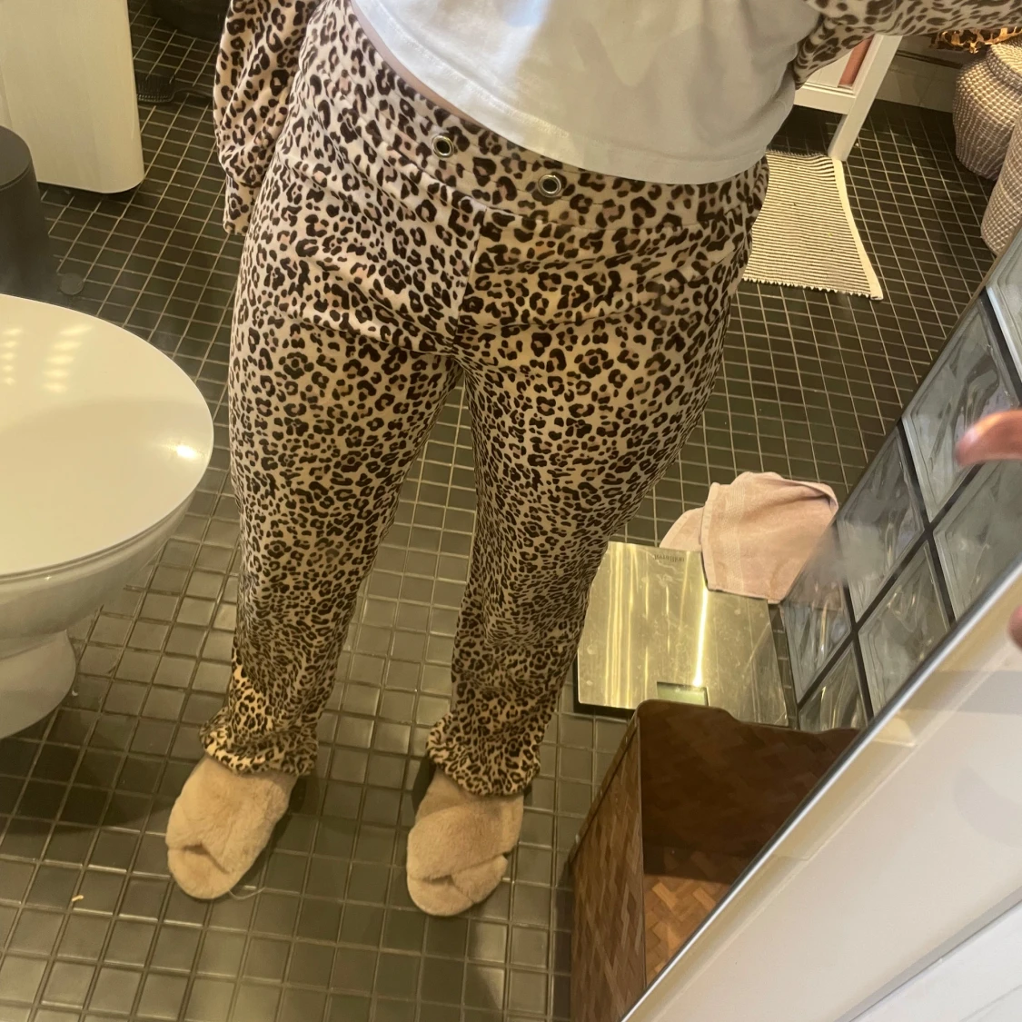 Leomönstrat set från Gina  - 2