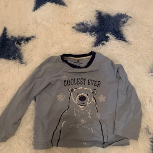 Grå långärmad tröja med isbjörnsmotiv från Lupilu - Säljer en söt blå långärmad tröja från Lupilu med ett tryck av en isbjörn och texten 'Coolest Ever'. Perfekt för kalla dagar med sitt vintertema. Tröjan har en mörkblå krage som kontrast.