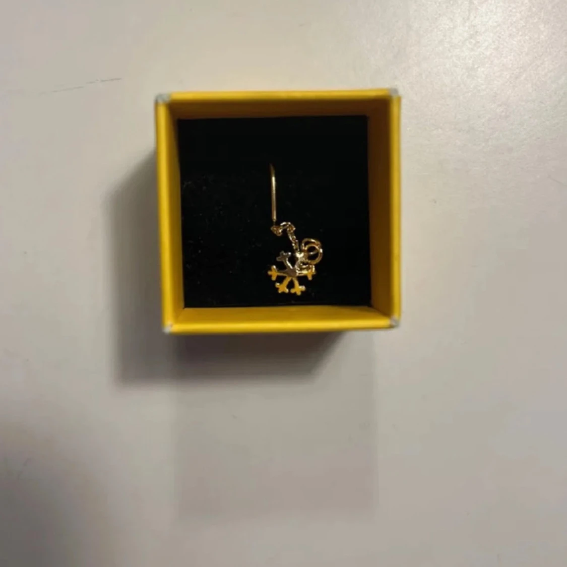 Örhänge L8hasselblad - 90