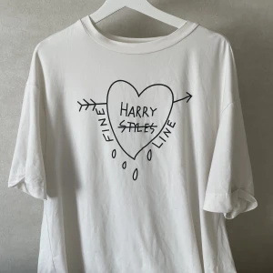 Harry styles t-shirt - Harry styles fine line t-shirt🫶🏻 tror att jag har köpt den på etsy men har aldrig använt.