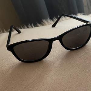 svarta retro solglasögon 