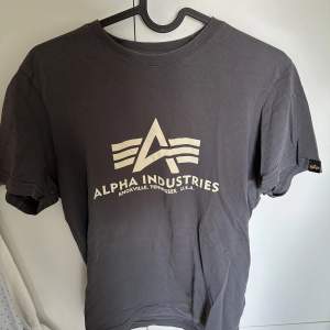 Grå Alpha T shirt storlek S