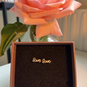 örhängen  - super fina love örhängen!! har Aldrig andvänt dem och är i super bra skickt😍jag säljer dem för att jag inte har någon andvändning för dem. 