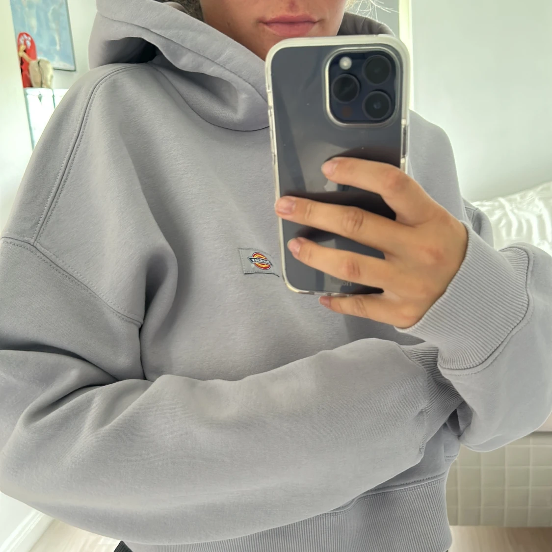 Croopad hoodie från Dickies - 91