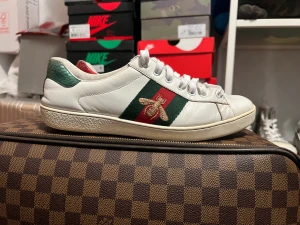 Gucci Ace Bee G6.5 - Gucci 6.5 (40.5) sitter som 41. Använda som ni ser på bilderna. Ingår varken box eller kvitto