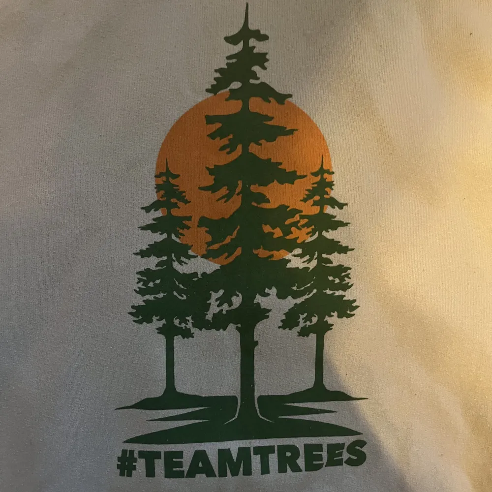 helt skitzad mrbeast merch från #TeamTrees   den här hoodien har bidragit till 5 planterade träd runtom i världen så den är ganska cool faktiskt! 😎sitter bekvämt o bra till hösten. har katt i hemmet!. Hoodies.
