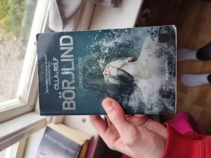 Bok - Svensk bok som jag aldrig har läst