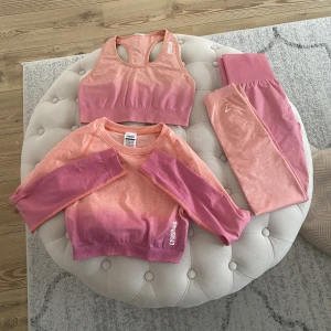 Gymshark  - Gymshark ombre peach/ Pink Marl i storlek S i samtliga plagg. Toppen oanvänd. Och alla plagg utan skavanker. Bh 150kr, Topp 200kr, thights 450kr. Köpes allt 650kr. 