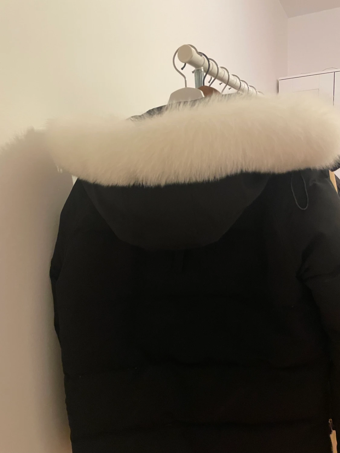 Moose knuckle Jacka L - 90