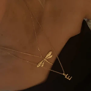 Trollslända halsband - SUPER snyggt!! Tryck gärna köpa nu, rostar ej vet tyvärr ej om det är guld eller bara rostfritt stål❤️❤️köpt dyrt!