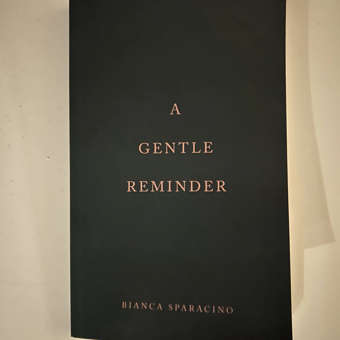 A gentle reminder bok 🤎