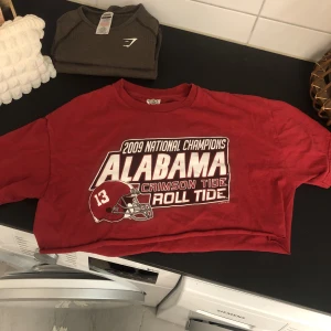 Croppad tränings tshirt L - Croppad tshirt i bra skick! Stormek L 