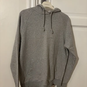 Går hoodie  - Snygg grå basic hoodie som passar till allt. Den är i bra skick