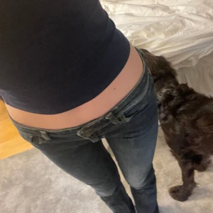 jeans  - säljer ett par lågmidjade dobber jeans💕jätte fina!! säljer billigt då dem inte är så bootcut men man kan sy dem bootcut✨🌟