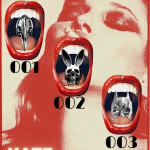 Ringar rostfrittstål - 001 BIRDSKULL 002 RABBIT 003 BATMAN