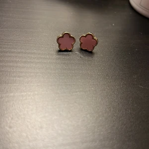 Söta örhängen - Oanvända söta örhängen