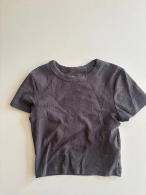 Mörkgrå ribbad croppad t-shirt - En stilren mörkgrå croppad t-shirt med ribbad struktur och rund hals. Perfekt till jeans eller kjol för en enkel och trendig look. Kortärmad modell i mjukt material.