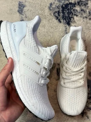 Vita  Ultraboost  - .