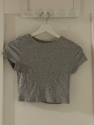 Grå t-shirt  - Grå kort T-shirt med ränder, storlek S Perfekt skick 