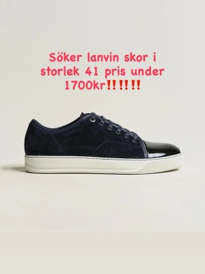 Söker lanvin skor!!!! - Hej, söker ett par lanvins i storlek 41 färg spelar ingen roll skriv till mig om du har ett par tack‼️