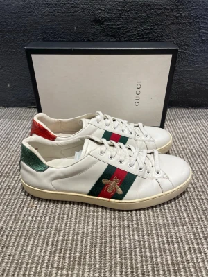 Gucci skor 