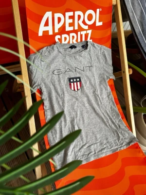 Grå GANT t-shirt med logga - Snygg grå t-shirt från GANT med klassisk logga och sköldtryck framtill. T-shirten har rund hals, korta ärmar och är gjord i mjuk bomull. Perfekt till jeans eller shorts för en avslappnad look.