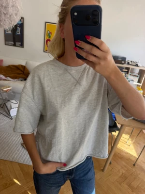 Ljusgrå croppad t-shirt - Grå basic topp från Zara!