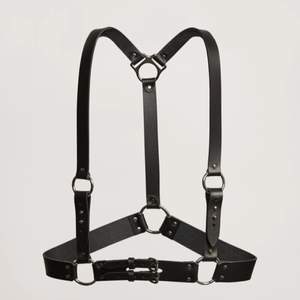 Harness