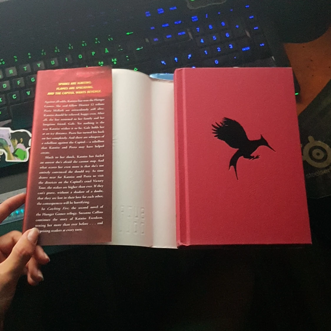 Catching fire - Suzanne Collins - 91