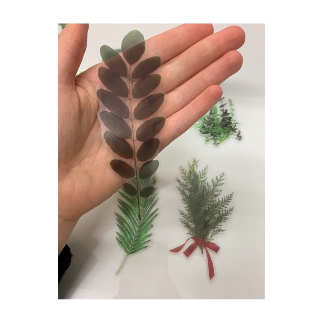 Klistermärken växter  - 90