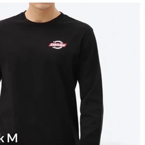 Dickies tröja - As snygg tröja ifrån dickies, säljer då den tyvärr inte passa mig, storlek S, skriv för mer info/bilder❣️
